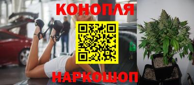 spice Севастополь