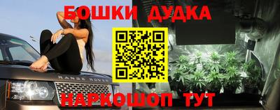 spice Севастополь