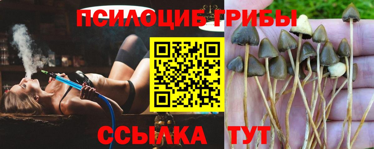 Псилоцибиновые грибы Psilocybine cubensis  Вход с VPN  Орёл 