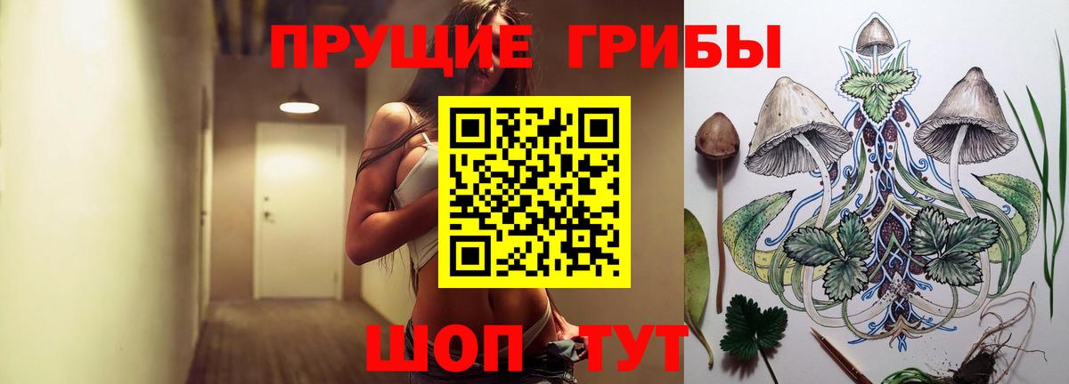 Псилоцибиновые грибы ЛСД Орёл